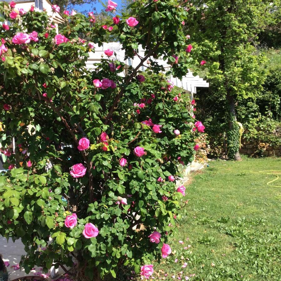 Bienvenue Chez Alain Et Marie Lägenhet Antibes Exteriör bild